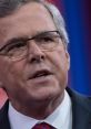 Jeb Bush 2016 Presidential Run Play and download Jeb Bush 2016 Presidential Run clips. #jeb #jeb bush #bush #please clap