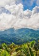 Yunque The first that comes to mind when thinking about Yunque is the gentle rustling of the leaves in the dense