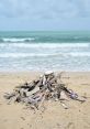 Beach littered with debris, highlighting pollution and environmental impact on coastal areas; a bad beach experience.