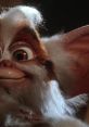 Gremlins 2 Play and download Gremlins 2 clips. #hysterical #silly #crazy #looney #wacky #zany #hyper #laffy