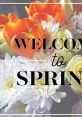 To Spring Play and download To Spring clips. #spring #to spring #time for spring #spring time #spring has come #morning