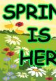 Spring is Here Play and download Spring is Here clips. #spring #first spring day #new season #winter is over #best time