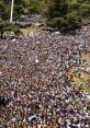 Celebration from World Cup 2012 Play and download Celebration from World Cup 2012 clips. #world cup #soccer #futbol