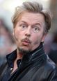 David Spade Play and download David Spade clips. #seatbelt #seat belt #david spade #tommy boy