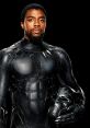 The Black Panther Play and download The Black Panther clips. #black panther #freeze #avengers #chadwick boseman #clutch