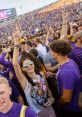 LSU football fans celebrate vibrantly in purple and gold during a game day, showcasing team spirit and excitement.