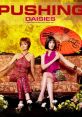 Pushing Daisies Play and download Pushing Daisies clips. #no #hell no #oh hell no