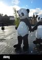 Chengdu Pambassador Play and download Chengdu Pambassador clips. #panda #party #dance #dancing