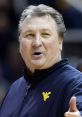 Bob Huggins Play and download Bob Huggins clips. #wvu #bob huggins #post game presser #make it rain #cant shoot #shooting