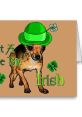 Happy St Patricks Day! River Dancing Chihuahua- Funny Dog Tricks Play and download Happy St Patricks Day! River Dancing