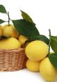 LEMONS! The of a lemon being sliced open is a sharp, crisp "LEMONS!" that resonates through the air. The is distinct and