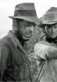 Treasure of the Sierra Madre Play and download Treasure of the Sierra Madre clips. #badges #stinking #bogart #federales