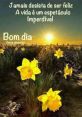 ► koda - bom dia The first , "► koda - bom dia," is a cheerful and energetic greeting that sets the tone for the day