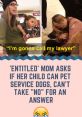 Entitled mom demands to pet service dogs, insisting on an answer despite clear "no." Humorous service dog controversy.