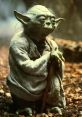 This is yOda The first that greets your ears is a deep, gravelly voice declaring, "This is yOda." The timbre of the voice