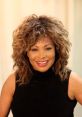 Tina Turner Title: The Incredible Journey of Tina Turner: A al Revolution Year: 1993 Cast: 1. Tina Turner - Herself 2.