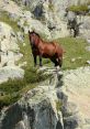 Caballo montaña In the serene mountains of Caballo, the of nature reign supreme. As the wind whispers through the