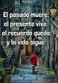 La vida a pasado por encima mio The phrase "La vida a pasado por encima mio" carries a weighty sense of reflection and