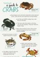 Guide to crabs: characteristics, types, and tips for choosing the best crab for cooking and dining experiences.