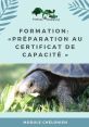 Formation tortue Soundboard