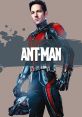 Ant-man Play and download Ant-man clips. #yes #he says yes #agreed #its a go #affirmative #marvel #paul rudd #baskin