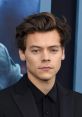 Harry Styles Harry Styles is not a movie, television show, or song, but rather a talented ian and former member of the