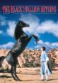 The Black Stallion Returns Play and download The Black Stallion Returns clips. #stop #disagree #wrong #stop that #the black