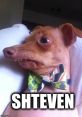 Shteven Shteven: a name that echoes through the air with a unique blend of consonants and vowels. The of it rolls off the