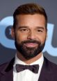 Ricky Martin Ricky Martin, a renowned Puerto Rican singer, actor, and author, has captivated audiences worldwide with his