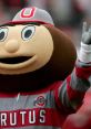 Brutus Buckeye Play and download Brutus Buckeye clips. #ohio state #osu #football #band #mascot #drums #celebration