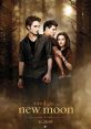 Twilight: New Moon Play and download Twilight: New Moon clips. #glum #gloomy #spinning in chair #bella #depressed