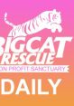 DailyBigCat Play and download DailyBigCat clips. #hello #cats #cat lady #big cat rescue #carole baskin #tiger king