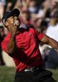 2008 US Open Play and download 2008 US Open clips. #golf #celebration #tiger woods #cheer #excited #fist pump