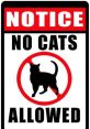 No No No Cat Play and download No No No Cat clips. #funny cat #no #nope #nah