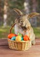 Easter Bunny Play and download Easter Bunny clips. #easter bunny #eggs