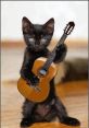 Comei meu gato guitar pimpolho The phrase "Comei meu gato guitar pimpolho" is a quirky and playful combination of words that