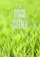 The grass is greener on the other side The phrase "The grass is greener on the other side" is often used to describe the