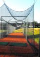 Batting Cage Play and download Batting Cage clips. #meme