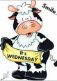 It's Wednesday "It's Wednesday" The familiar phrase rings out, a melodic reminder that we are halfway through the week. The