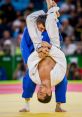 Judo lemons alert2 Judo lemons alert2- the phrase itself evokes a sense of urgency and intensity. When you first listen to