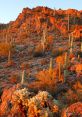 Tucson The first that comes to mind when thinking of Tucson is the buzzing of eager students as they walk through the