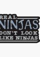 I don’t like ninjas "I don’t like ninjas," someone muttered under their breath, the words slipping out like a whispered