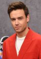 Liam Payne Liam Payne is not a movie, television show, or song; rather, he is a well-known al artist and former member of