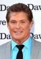 David Hasselhoff David Hasselhoff: A Multifaceted Icon of Pop Culture David Hasselhoff, a renowned figure in the world of