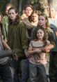 The Walking Dead - Season 7 The Walking Dead, Season 7, is a gripping and intense television series that will leave you on