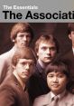 The Association The Association is an iconic American sunshine pop band that emerged during the 1960s. Their harmonious