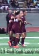 Celebrating teamwork on the field, the Red Oak Lady Hawks unite in joy after a successful play during a soccer match.