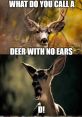 Deer meme The of a deer meme is unique and instantly recognizable. It carries a sense of playfulness and humor, often