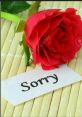 Sorry sweetheart "Sorry sweetheart," the words rang out in the dimly lit room, shattering the silence like a glass hitting