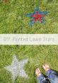 WHAT'S UP LAWN STARS ! The unmistakable of "WHAT'S UP LAWN STARS!" echoed through the neighborhood, signaling the start